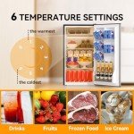 Frestec 3.2 Cu. Ft. Mini Fridge with Freezer