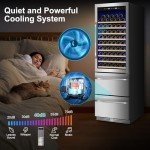 Velieta 24 Inch Dual Zone Wine Beverage Cooler