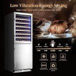 BODEGA 24-Inch Dual Zone Wine & Beverage Cooler
