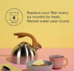 Whirlpool Fast Fill Pur Water Filter for Refrigerators