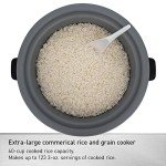 Panasonic 60-Cup Commercial Rice Cooker - Silver