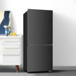Saeoola 4.0 Cu.Ft Compact Bottom Freezer Refrigerator