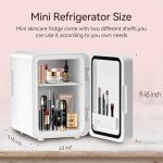 Dimmable LED Mini Skincare Fridge - 4L White