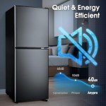 Anypro 4.1Cu.Ft Bottom Freezer Refrigerator - Black