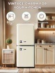Anypro 3.8 Cu.Ft Retro Fridge with Freezer Drawer