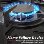 Noxton 2-Burner Gas Cooktop with Tempered Glass