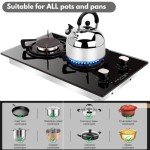 Noxton 2-Burner Gas Cooktop with Tempered Glass