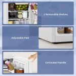 HOMCOM 2.5 Cu.Ft Mini Fridge with Freezer