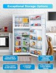 20 Cu. Ft. Top Freezer Refrigerator with Ice Maker