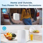 Antarctic Star Mini Fridge for Skincare and Drinks