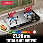 TopFleme 2-Burner Propane Stove for Outdoor Cooking