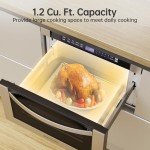 ThermoMate 24-Inch Built-in Microwave Drawer, 1000W