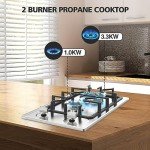 2-Burner Portable Gas Stove with Thermocouple Protection
