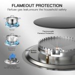 2-Burner Portable Gas Stove with Thermocouple Protection