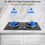 2-Burner Propane Gas Cooktop with Glass Surface