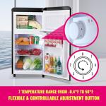 DEMULLER 3.5 Cu.Ft Mini Fridge with Freezer