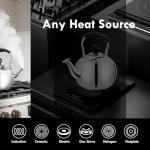 Dclobtop 2.3 Quart Whistling Stovetop Tea Kettle