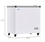 KoolMore 33-Inch Commercial Ice Cream Chest Freezer