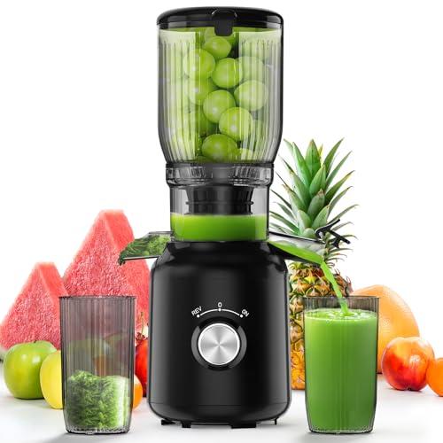 Cold Press Juicer with Wide Feed Chute