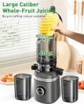 GlowWise Cold Press Juicer with Large Chute