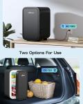 BEICHEN 6L Mini Fridge for Home and Travel