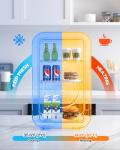 BEICHEN 6L Mini Fridge for Home and Travel