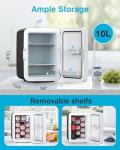 Compact 10L Mini Fridge with AC/DC Adapters