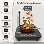 VBGK 1800W Portable Induction Cooktop with Timer