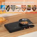 Portable Double Induction Cooktop with Griddle Pan