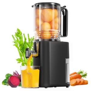 Slow Masticating Juicer with Wide Feed Chute