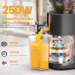 Slow Masticating Juicer with Wide Feed Chute