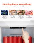 VEVOR 11 Cu.Ft Convertible Freezer and Refrigerator