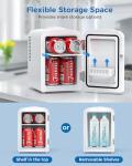 Electactic 4L Mini Portable Fridge for Food & Drinks