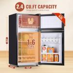 Demuller 2.4 Cu.ft Mini Fridge with Freezer