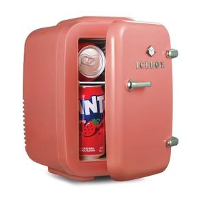 ICEBOX Mini Fridge for Skincare and Makeup