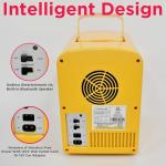 Frigidaire Mini Portable Fridge with Speaker, 4L