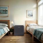 Frigidaire 1.6 cu ft Black Refrigerator EFR190SLATE