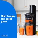 NutriBullet Slow Juicer, GrayClearBlackMulti-color, Model NBJ50300