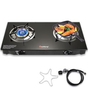 BesNerg Portable Two-Burner Propane Stove