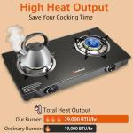 BesNerg Portable Two-Burner Propane Stove