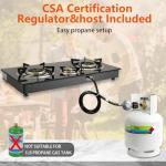 BesNerg Portable Two-Burner Propane Stove