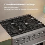 Empava 30" Gas Range with True Convection Oven