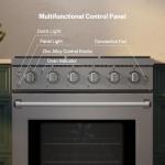 Empava 30" Gas Range with True Convection Oven