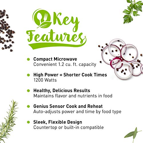 Panasonic Stainless Steel Countertop Microwave Oven