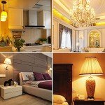 G9 Halogen 25W Light Bulbs for Whirlpool Microwaves