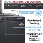 Kegco K309B-2 FENRIR Kegerator System