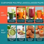 Juicer Extractor - Gray Centrifuge Model