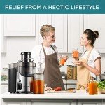 Juicer Extractor - Gray Centrifuge Model