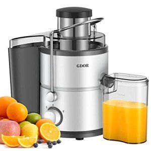 800W GDOR Centrifugal Juicer with 3” Chute