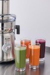 Breville Juice Fountain XL Pro, Stainless Steel